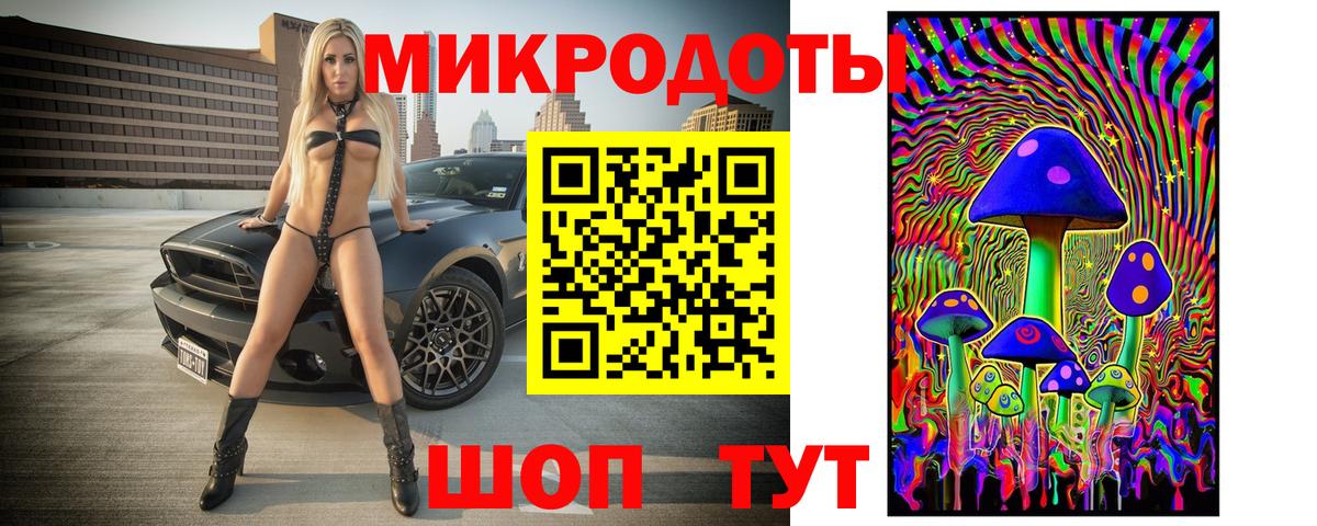 Псилоцибиновые грибы мицелий Новоалександровск