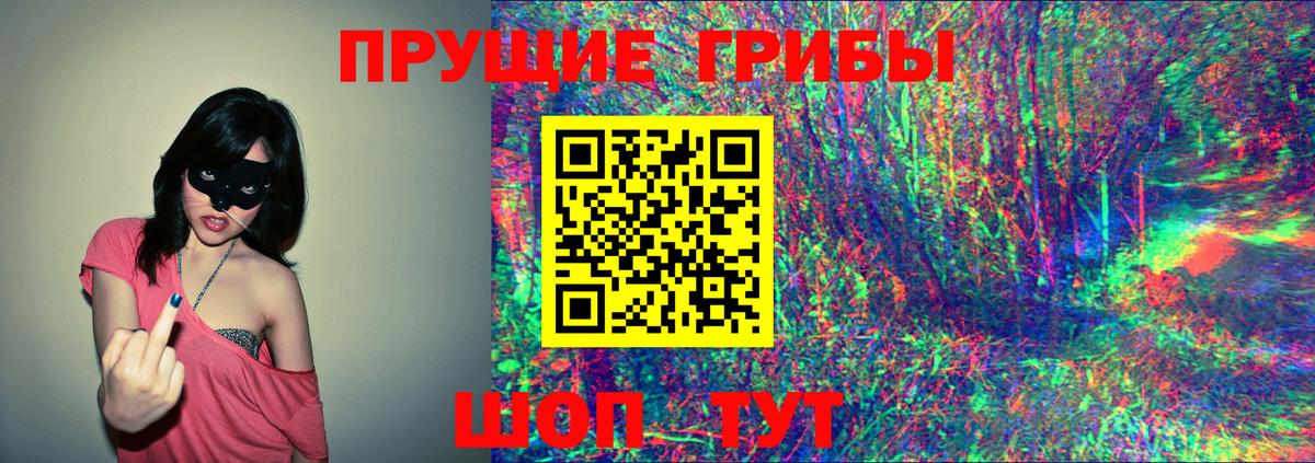 Новоалександровск  Галлюциногенные грибы прущие грибы  магазин продажи   Вход с VPN  Псилоцибиновые грибы прущие грибы 